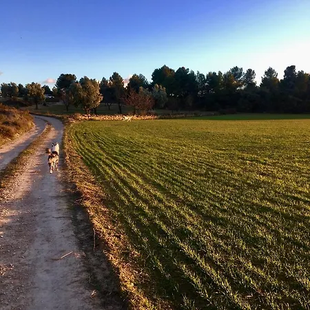 Feriegård Mas Del Pi Valderrobres